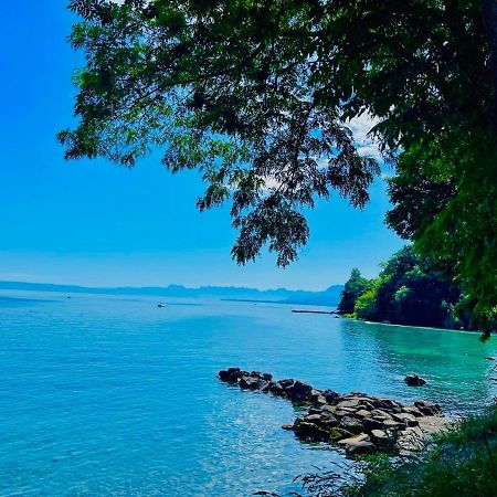 Appartement Le Leman Excenevex Luaran gambar