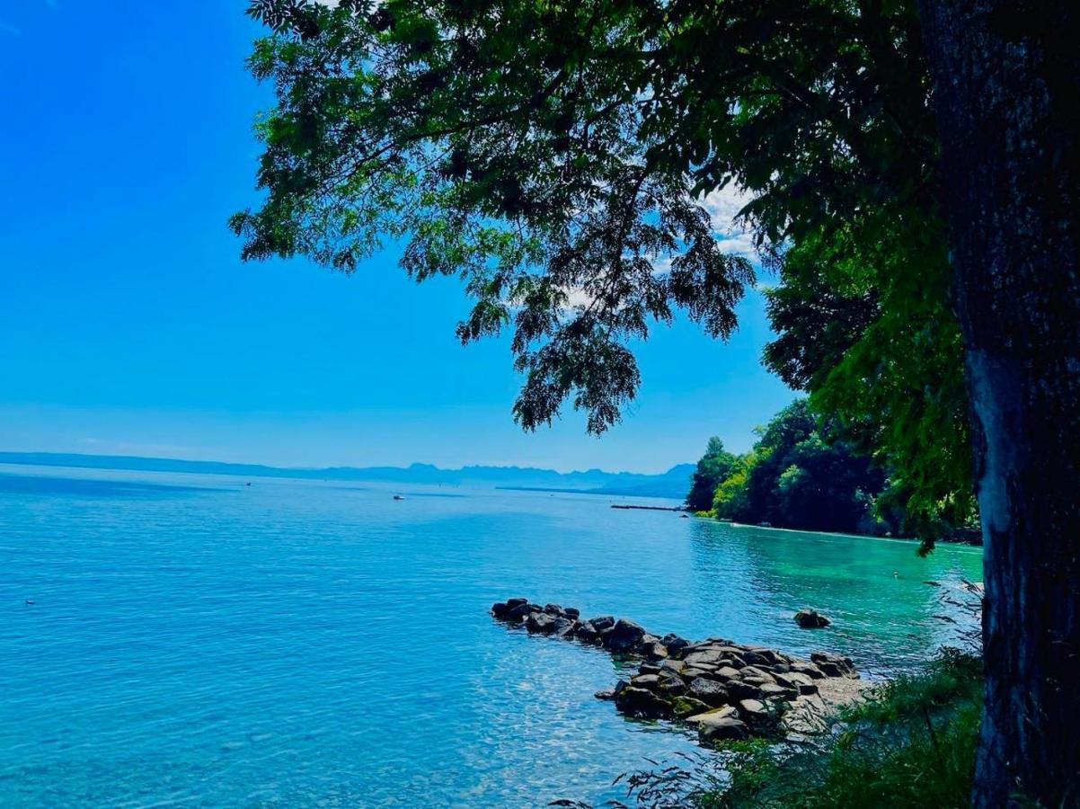 Appartement Le Leman Excenevex Luaran gambar
