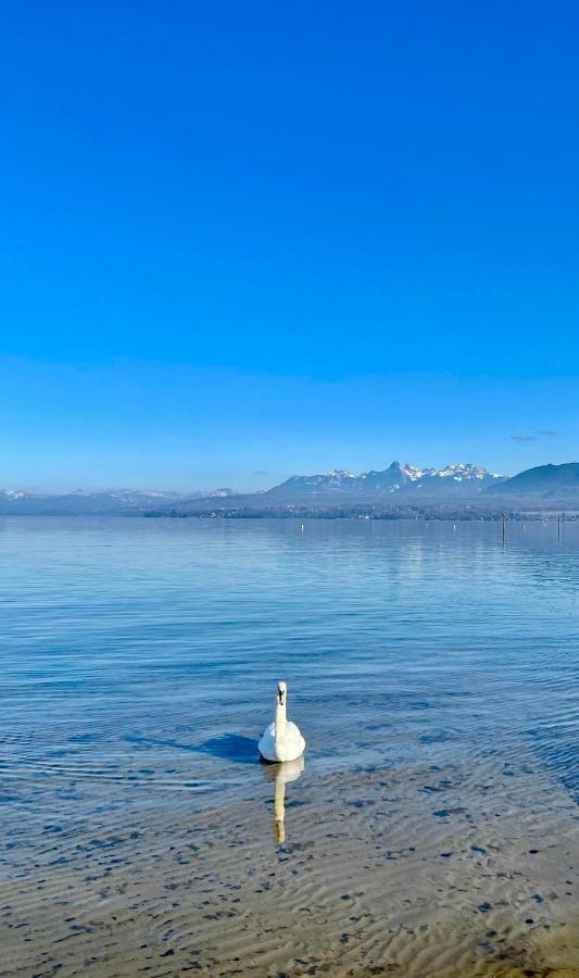 Appartement Le Leman Excenevex Luaran gambar